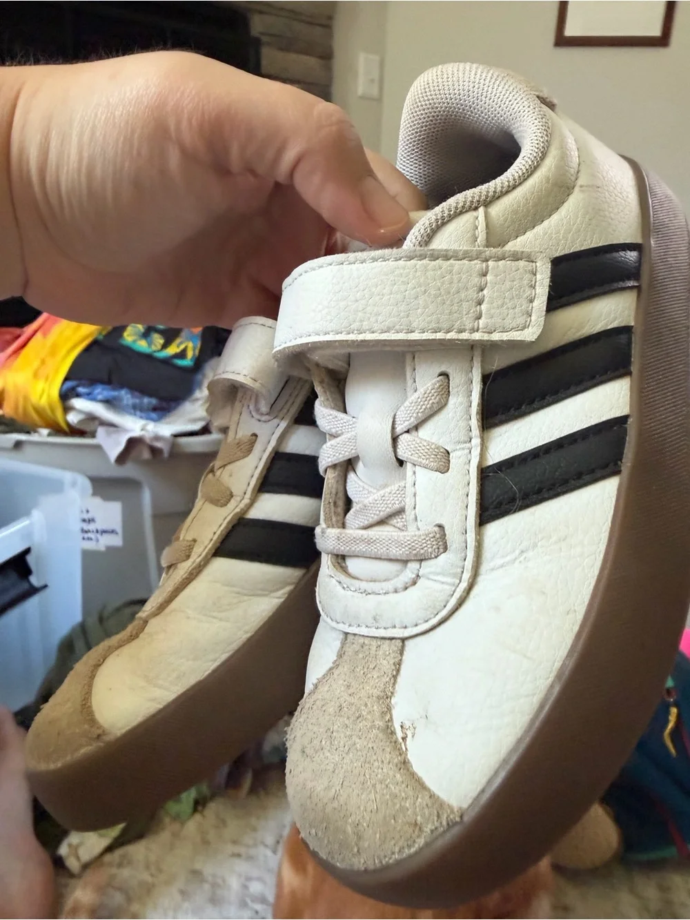 adidas kids sneaker